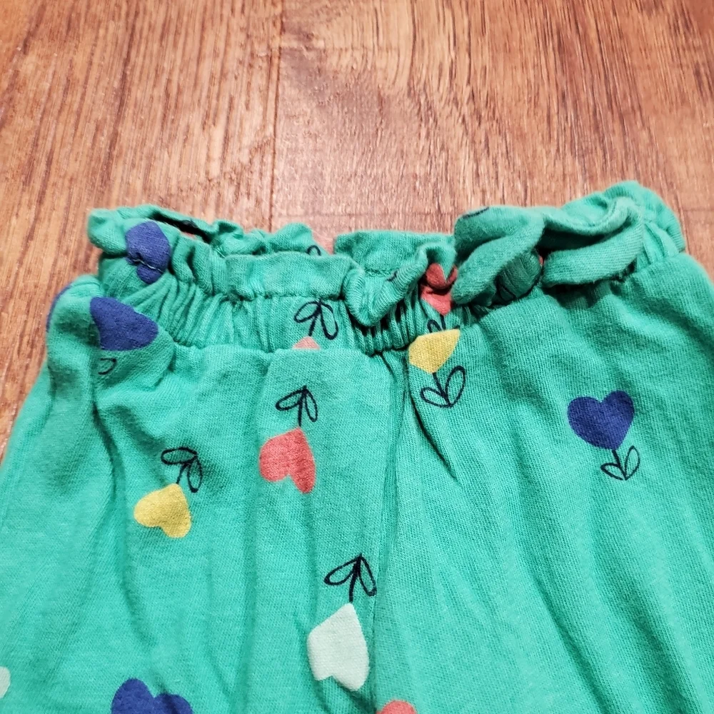 Carters Cotton Matching Heart Flowers Green Gray Little Sister Bodysuit Pants NB